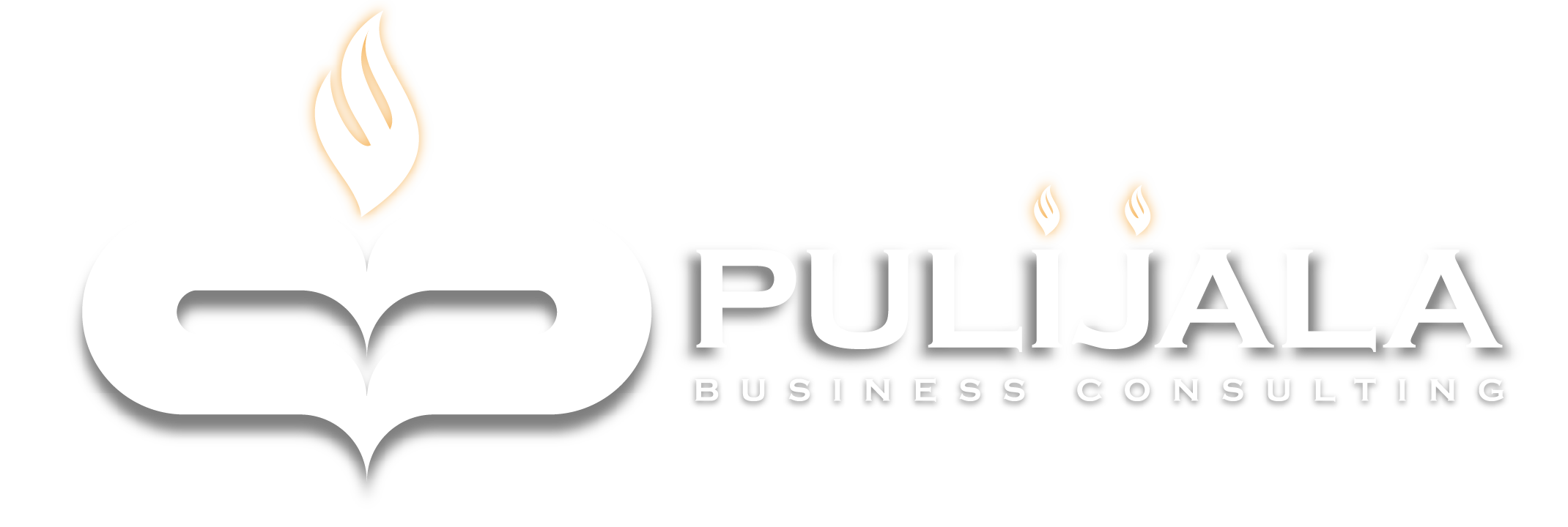 Pulijala Business Consulting